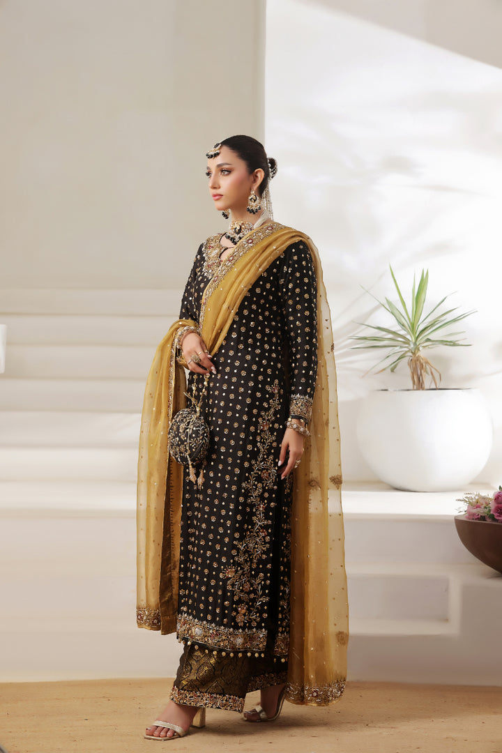 Luxury Hand Embellished 3pc -  FW-10