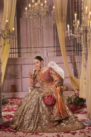 Bridal Lehanga choli -BW-21
